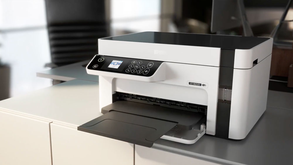 cgi epson printer